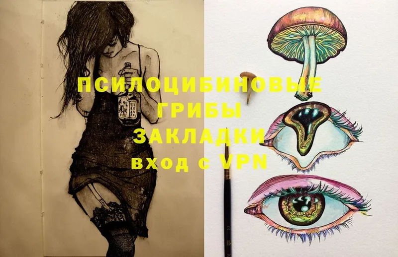 Псилоцибиновые грибы Magic Shrooms  купить  цена  Белово 